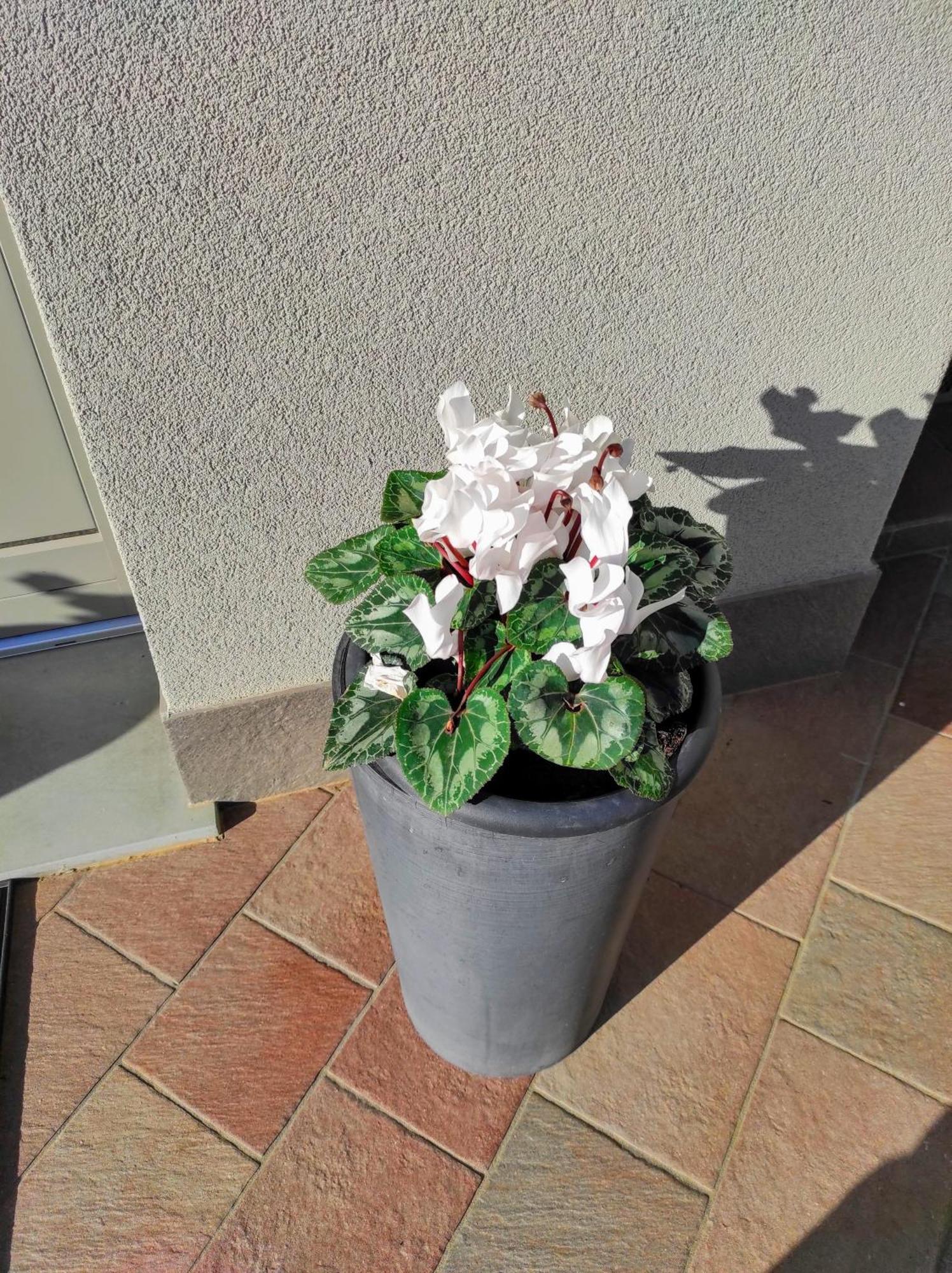 Attic House Mountain Lake Iseo Hospitality Bossico Bagian luar foto